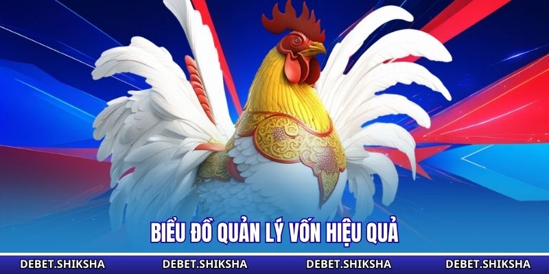 Biểu đồ quản lý vốn hiệu quả