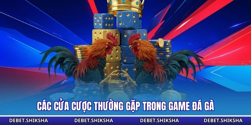 Các cửa cược thường gặp trong game đá gà